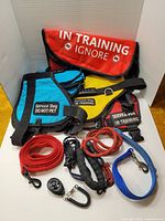 Photo showing 5 service dog vests and harnesses in red, yellow, blue and aqua, plus assorted red, blue, and black leashes and carabiner clips.