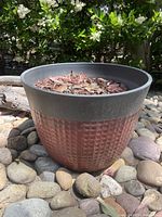 Large red and black outdoor planter with a textured pattern, placed on outdoor pebbled ground, shown from the side filled with mulch and dried leaves.