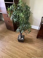 Front view of the 4-foot artificial plant in a square ceramic pot with decorative rocks on a wood floor.