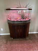 Front view of the terrarium showing the glass enclosure with lighting and artificial plants inside, sitting on the wooden cabinet stand with closed doors.