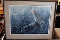 Framed print showing a short-eared owl in blue-toned grass and foliage background, with visible fading.