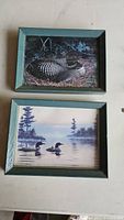 Photo showing front of two framed pictures with green wooden frames featuring loons in nature scenes