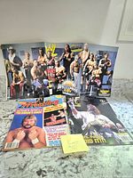 Magazines displayed on a kitchen counter with various wrestler covers showing colorful images and titles relevant to WWF/WWE Wrestling