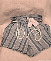 Front view of striped ROXY shorts with rope belt and button, laid flat.