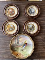 Top view showing four round framed bird plates and one scalloped edged bird plate