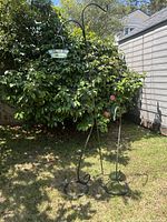 Group photo of three metal shepherds hooks placed outdoors on grass in front of bushes. One large double hook and two smaller single hooks are visible.