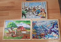 Three assembled wooden puzzles displayed together