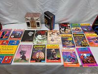 Full overview of the lot showing a collection of books including Goosebumps series, Scholastic titles, and a decorative box