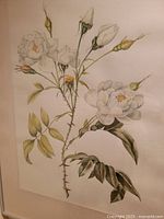 Close-up of single floral watercolour painting with white flowers and green leaves