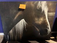 Horse head portrait on black background printed on stretched canvas with visible dust, needs cleaning.