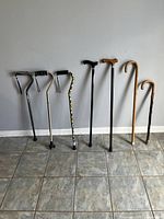 Full view of all 7 walking canes showing varied materials and handle styles.
