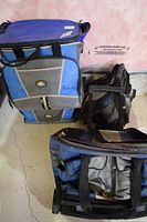 Three cooler bags grouped together showing relative sizes