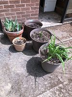 Five outdoor planters arranged on ground outside by brick wall and door.