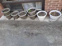Overview photo showing all 8 pots aligned in a row outdoors, 2 white stone pots at right end and 6 beige plastic pots to the left. All show signs of wear and soil residue inside.