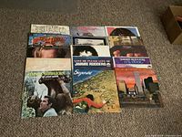 Mixed lot of LP records arranged in rows showing album covers including Jimmie Rodgers, The Vogues, and other artists.