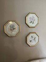 View of all 3 octagon framed flower prints arranged on a wall, showing gold-tone frames with botanical illustrations inside.