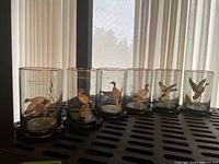 Image showing six clear bar glasses with detailed duck illustrations and gold rims lined up on a black surface in front of window blinds.