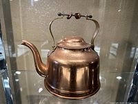 Full view of the copper color teapot showing the body, spout, and handle.