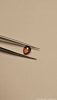 Natural burnt orange sapphire held between tweezers on a beige background showing clarity and color.