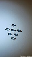 Seven natural marquis cut sapphires arranged loosely on a light surface showing their blue-green color and facets.