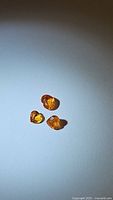 Three heart-shaped natural orange sapphires under direct lighting showing vibrant orange color and internal clarity.