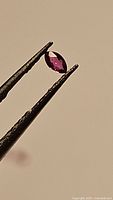 Close-up image of natural untreated marquis cut ruby held by tweezers against plain background