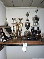 Shelf holding multiple trophies of various shapes and sizes, some with wooden bases and others fully metallic, including a plated figure of a child on a black base