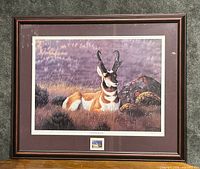 Framed print showing pronghorn antelope resting in natural setting, with 1995 wildlife stamp mounted below.