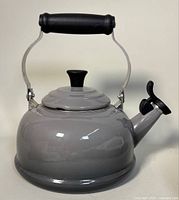 Front view showing the kettle body, handle and spout.