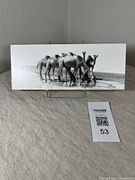 Front view of a black and white photo showing several camels drinking water, mounted on wood.