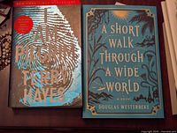 Two books displayed side-by-side on a table with fingerprint design on 'I Am Pilgrim' cover and decorative blue cover on 'A Short Walk Through A Wide World'.