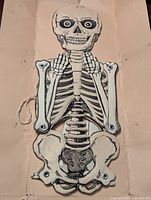 Front side of vintage hanging skeleton decoration showing full articulated paper skeleton with string for hanging.