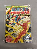 Front cover of vintage 1975 Giant Size Spider-Man issue #6 comic book with Spider-Man and Human Torch depicted in action.