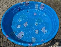 Top view of entire blue plastic kiddie pool with fish graphics