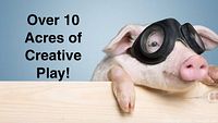 Photo showing a pig wearing goggles with text advertising over 10 acres of creative play at the playland.