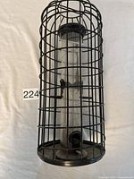 Front view of cylindrical bird feeder inside black wire squirrel guard cage, showing feeder ports and base.
