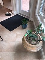 Plants and ceramic pots placed near a door, showing two smaller pots and floor mat.