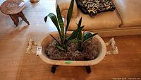 Front view of carved stone jardinire planter with two snake plants inside and moss ground cover, placed on wooden floor near beige sofa.