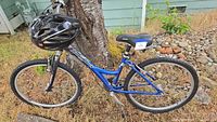 Side view of a blue Diamondback Omni women's bike leaning against a tree with helmet on handlebar (helmet not included).