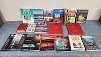 Photo showing 18 travel-related books arranged on a surface depicting various American travel guides and history books.