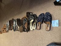 View of all 10 pairs of women's shoes arranged in a line on carpet. Includes sandals, flats, and heels in various styles and colors.