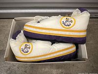 Side and top view of the tennis slippers in a box showing colors and embroidered logo.