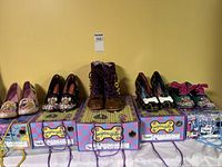 All six shoe pairs on their respective Irregular Choice boxes