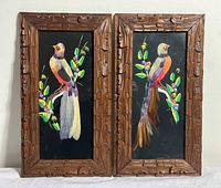 Pair of vintage Mexican feather art Plumera bird artworks in carved wood frames, shown side by side.