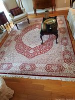 Full overhead view of the rug in room setting showing overall pattern and condition