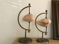 Pair of antiqued brassed metal stands with round bases holding large natural seashells, showing overall appearance and relative size difference.
