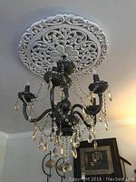 Full view of black chandelier mounted on elaborate white ceiling medallion showing five arms with dangling clear crystal strands and teardrop crystals.