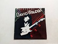 Front cover of The Best of David Wilcox LP showing illustrated artwork of David Wilcox playing guitar.