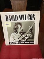 Front cover of the David Wilcox album Out of the Woods with a black and white image of David Wilcox playing guitar.