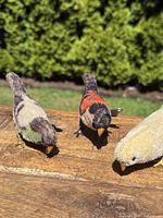 Three mohair birds (green/brown, red/black, yellow) front view on wooden surface with garden background